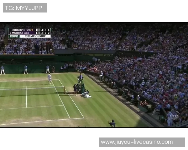 穆雷与安德森在温网的激烈对决回顾与精彩瞬间分析